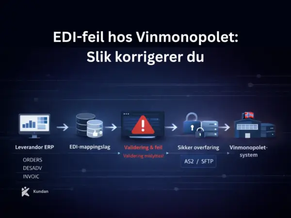 EDI-feil hos Vinmonopolet: Slik korrigerer du